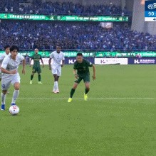 天天盈球足球比分-澎湃：申花暂未有对杨皓宇染红的判罚进行申诉的准备