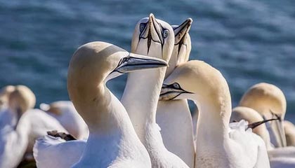 开云登录入口：一次登录，开启全域高效与安全未来